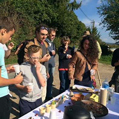 Bibracte fête les 30 ans du musée