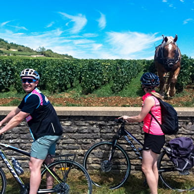 Active Tours - Demi-journée balade vélo dans le vignoble et sa dégustation