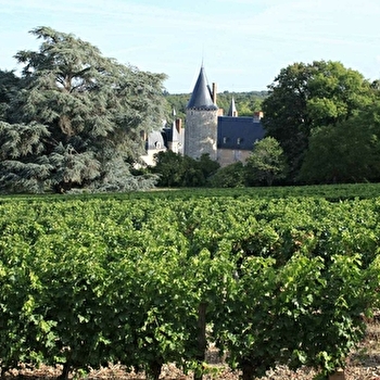Château de Tracy - TRACY-SUR-LOIRE