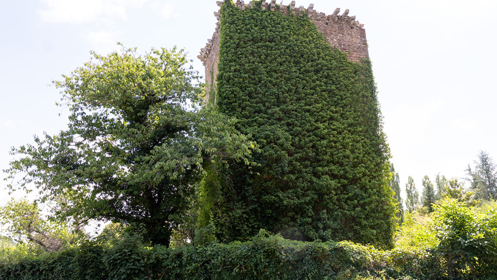 Montagne et bois de La Salle