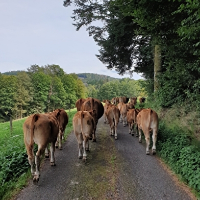 Ferme du Breuillet