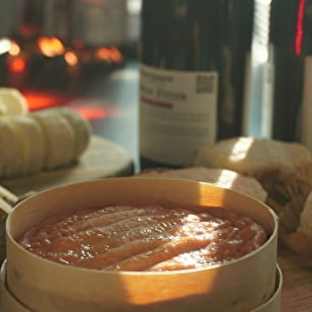 Dégustation de fromages et vins locaux - CHATILLON-SUR-SEINE