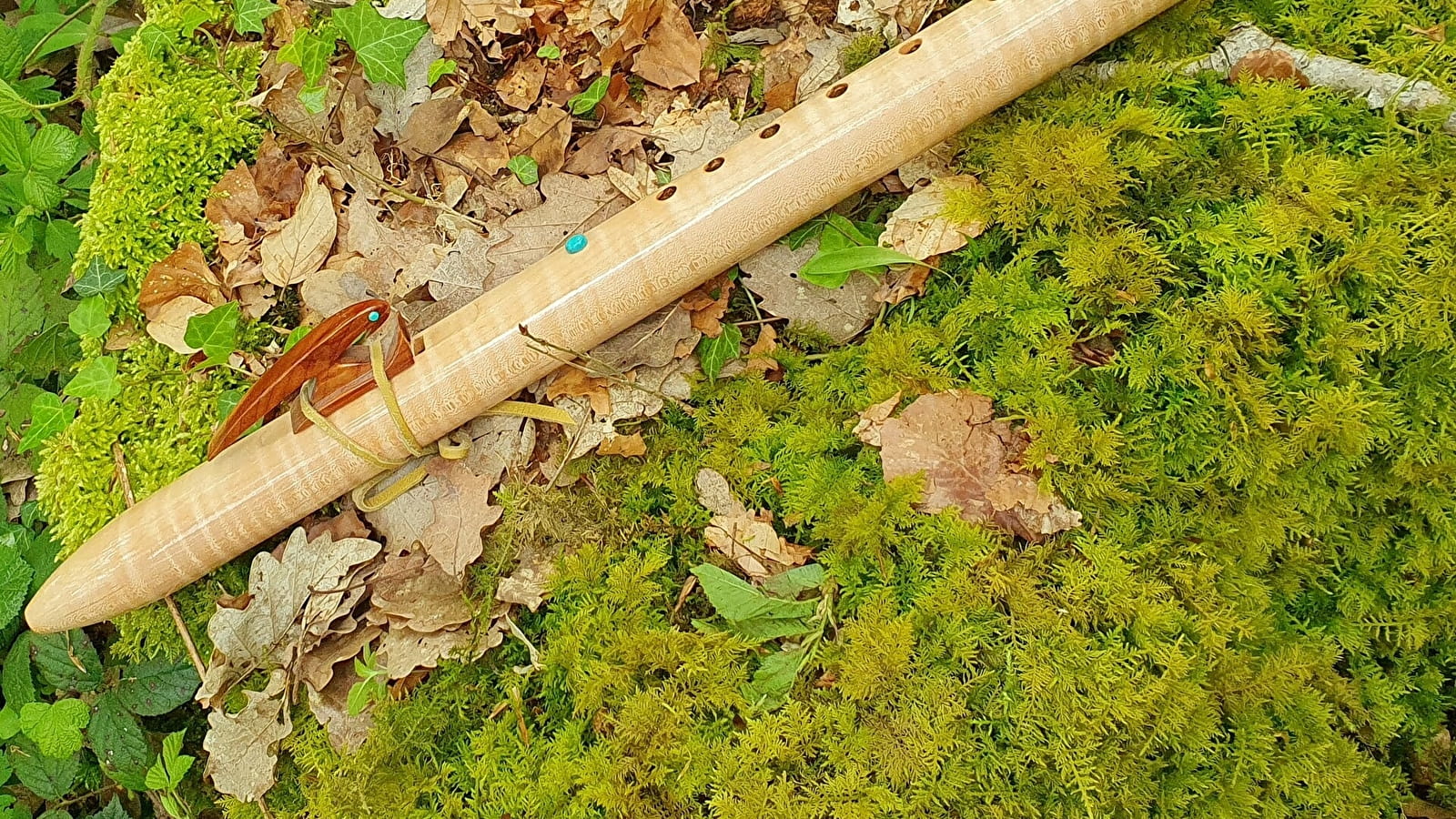 Évasion Sonore en Forêt