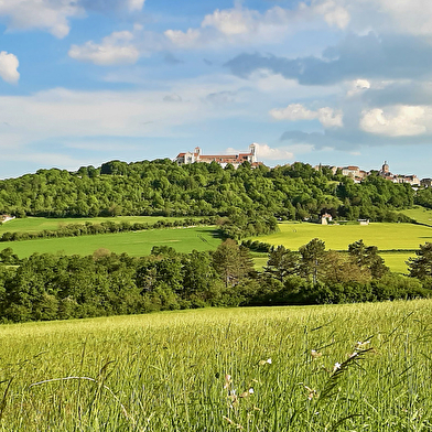 Clara Goodheart, guided tours in English/ visites guidées en anglais 