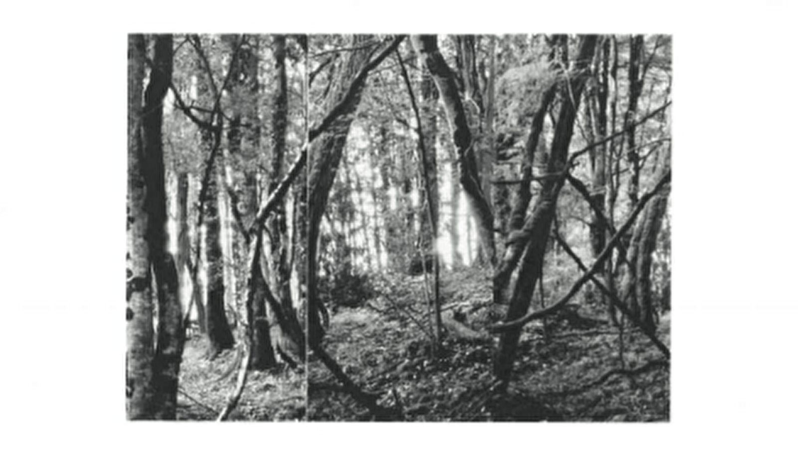 Exposition 'Martin Maris'