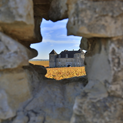 Bourgogne Gold Tour - Beaune