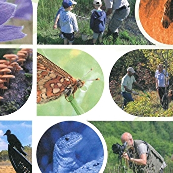 Sortie nature et atelier 'Dessine-moi un herbier !' - LONS-LE-SAUNIER