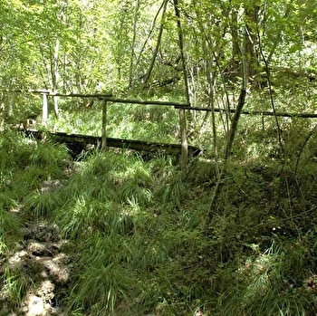 Marais des Brosses - RECEY-SUR-OURCE