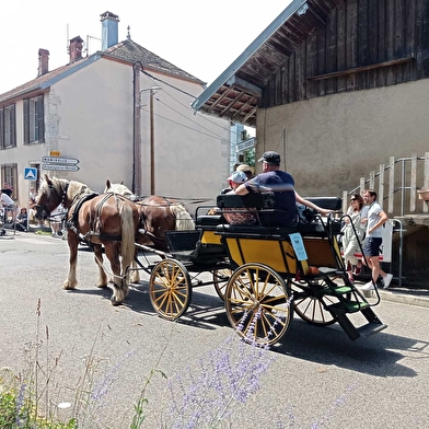 Mors Attelage