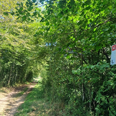 Circuit VTT-VTC n°8 (rouge) - Sur les crêtes de la Vallée du Sevron