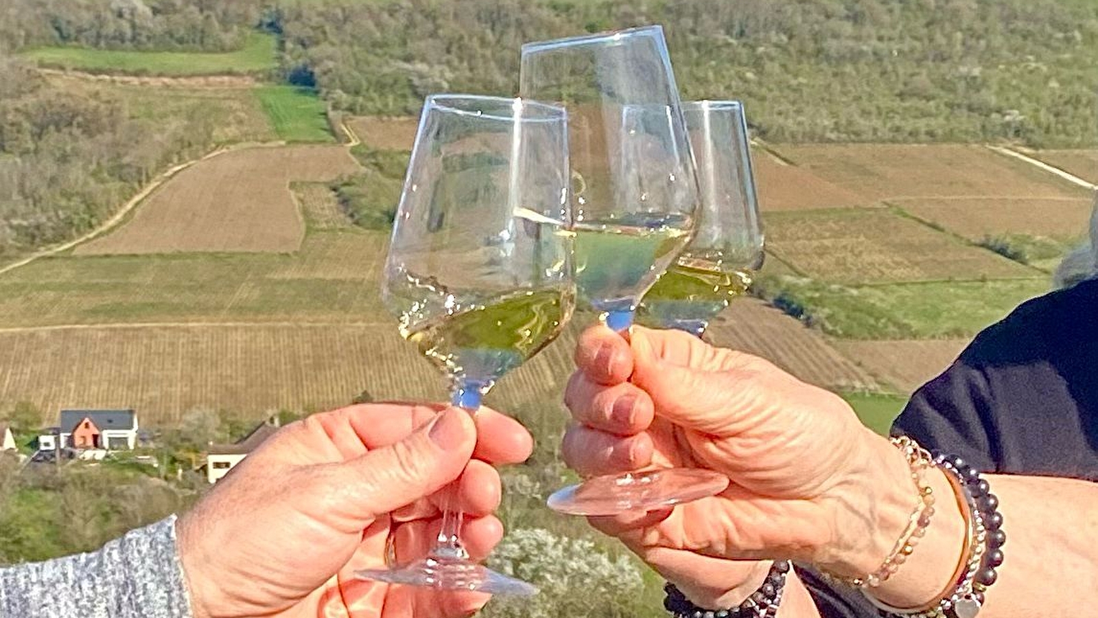 Les Climats vu des Hautes Côtes- Visite guidée thématique