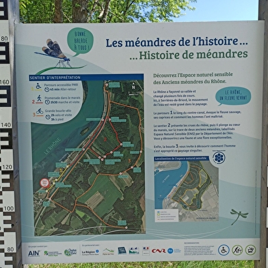 Sentier des anciens méandres du Rhône (ENS de l'Ain)