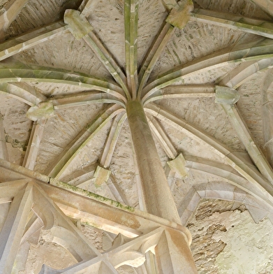Visites guidées château de Rochefort