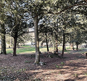 Parc Communal - DENNEVY