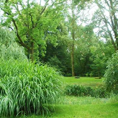 Domaine du Château de Roche-sur-Linotte