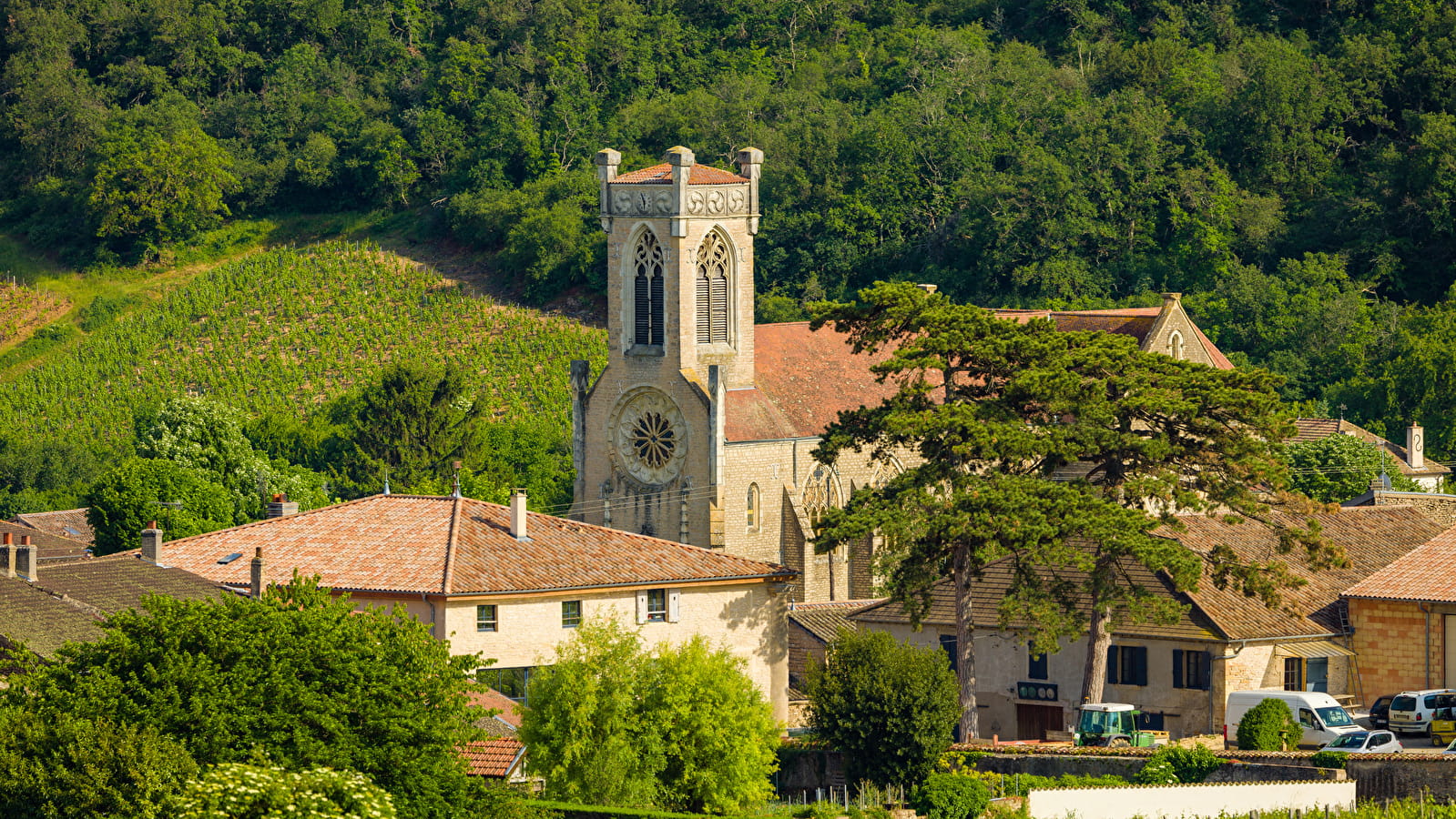 Entre Pouilly et Fuissé