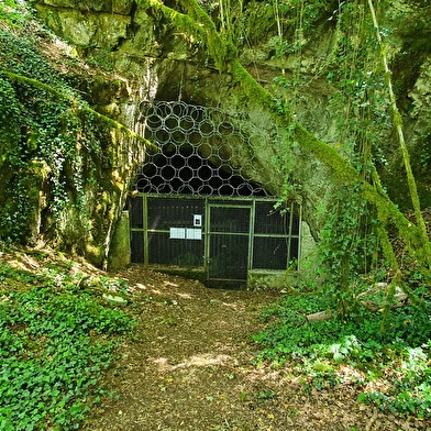 Balade - Réserve Naturelle de la grotte de Hautecourt