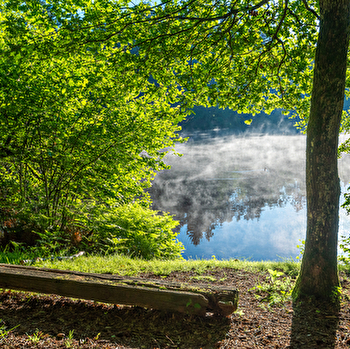 Etang de Pézanin - DOMPIERRE-LES-ORMES