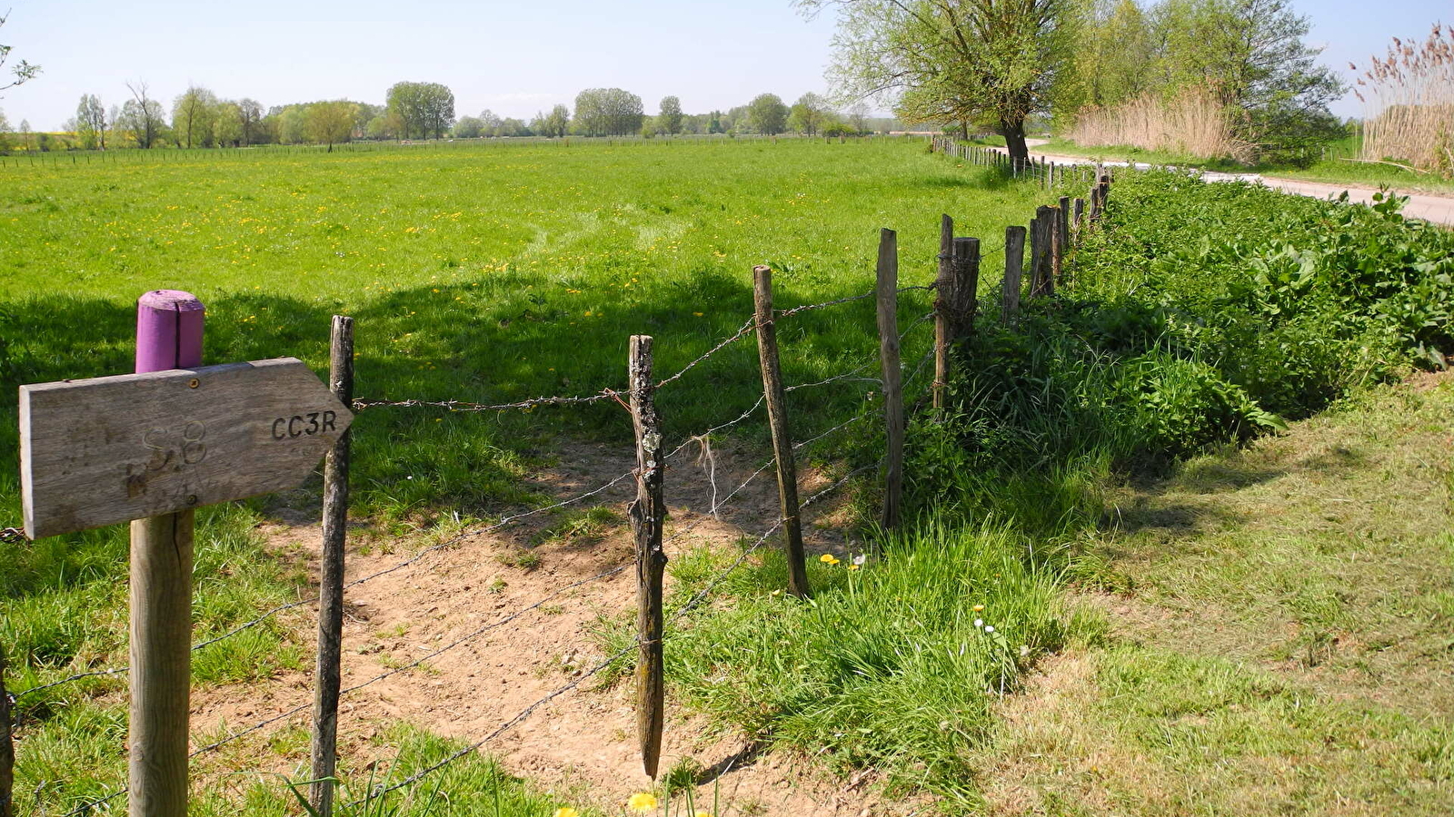 Sentier des hérons