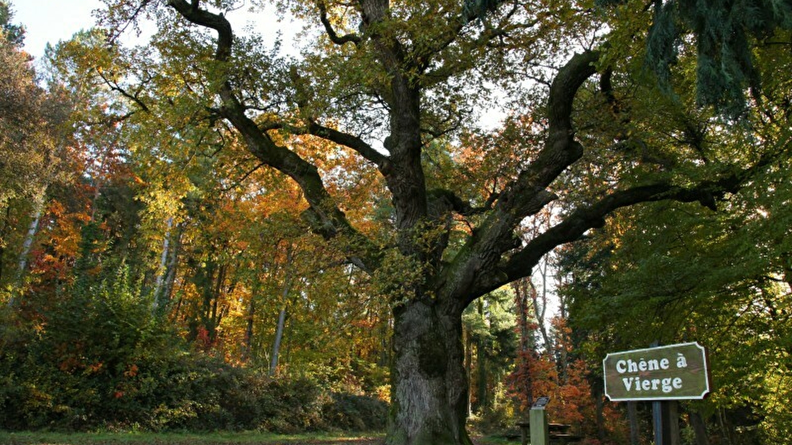 Sentier des Sources