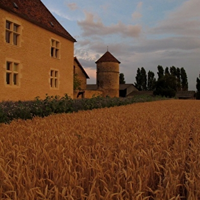 Le Manoir Equivocal