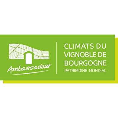 ClimAteliers : dégustation œnologiques à l’aveugle