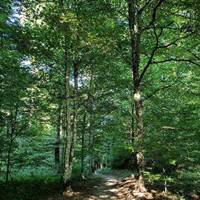 Sentier ludique de la Côte Roux