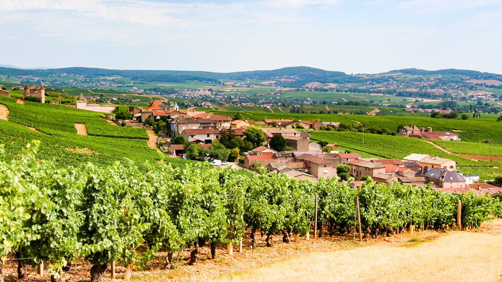Fuissé, une passion des hommes pour la vigne
