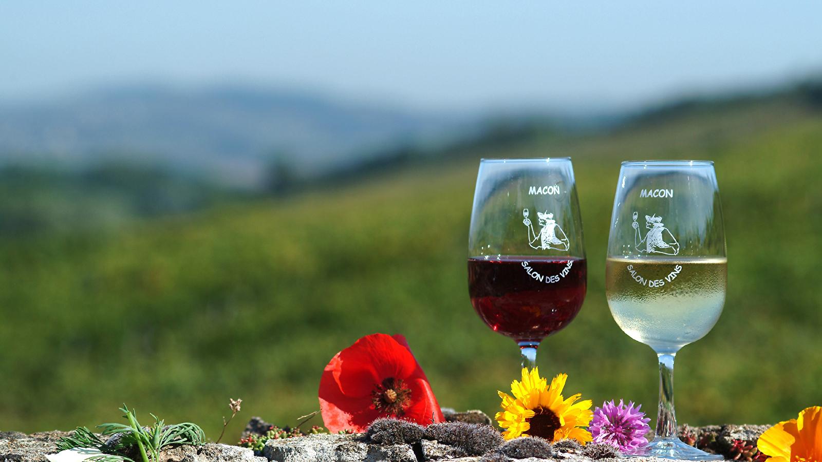 Vitipass en Mâconnais et Beaujolais