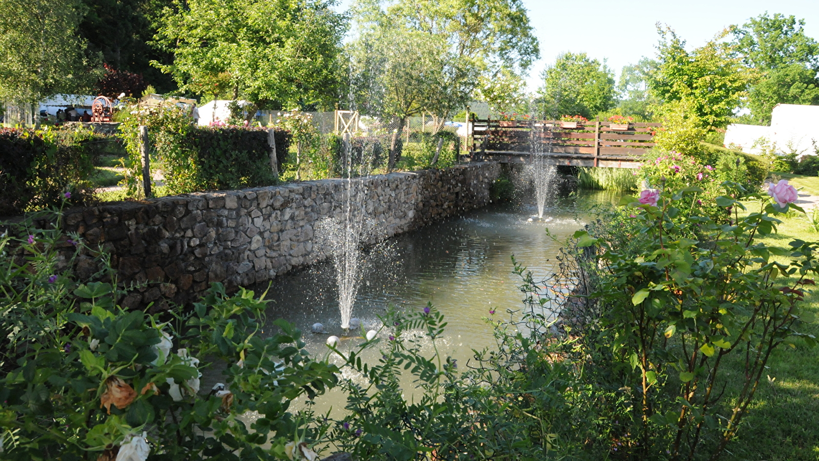 Le bois de Mongin