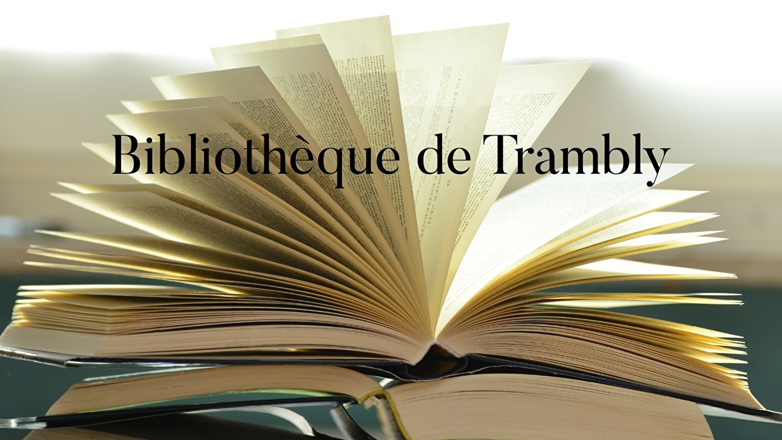 Bibliothèque Hors les Murs