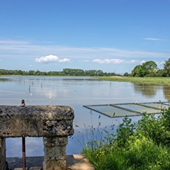 Itinérance L'Ain à Vélo - Entre Dombes et Val de Saône (1 à 2 jours) - CHATILLON-SUR-CHALARONNE