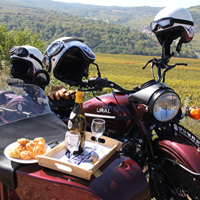 EXCURSION EN SIDE-CAR DANS LE VIGNOBLE - BALADE 'L'ÂME DU TERROIR BOURGUIGNON'- 2H