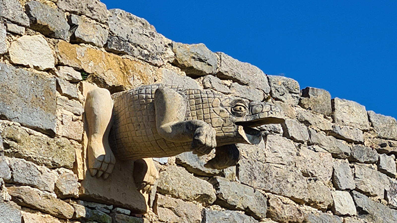 Visite du bestiaire du château