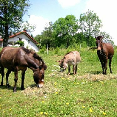 Gîte rural