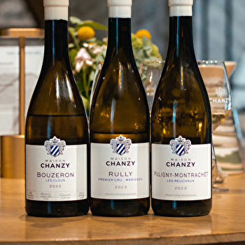 Maison Chanzy - Dégustation 'La Sélection du Sommelier' - PULIGNY-MONTRACHET