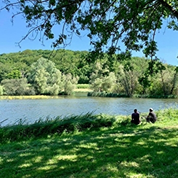 Le Marais d'Andryes - ANDRYES