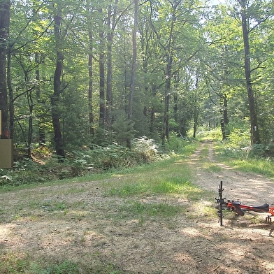 Circuit VTC-Gravel n°6 (rouge) Chemins des bois de Bresse
