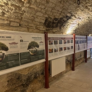 Exposition 'Les Forêts en Souffrance' & Dégustation de vins 