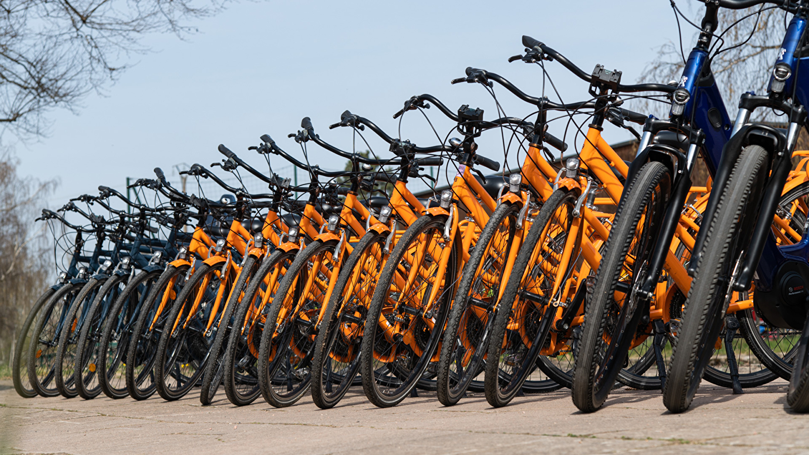 Les Vélos de Cluny