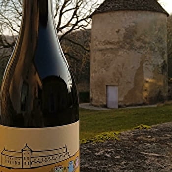 Initiation et dégustation vins de terroir - OZENAY