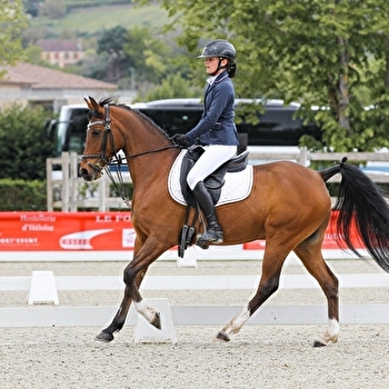 Concours Hippique - Dressage club - CLUNY