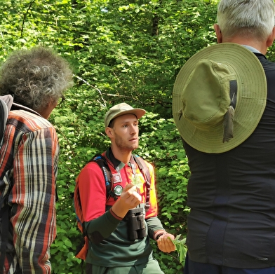 Sortie nature & Spectacle pour petits et grands au Parc national de forêts