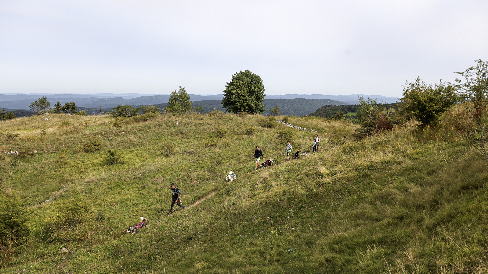 La vallée des laïkas -  kart, cani-trottinette et cani-rando