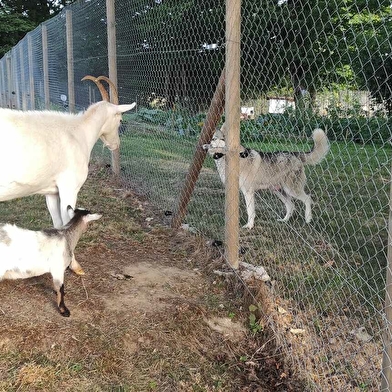 Nordikroad - Visite du parc animalier