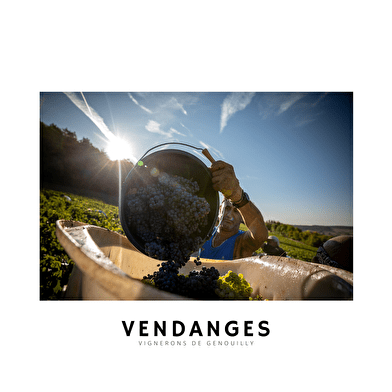 Cave des vignerons de Genouilly