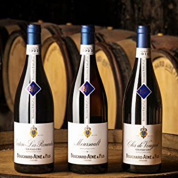 Bouchard Ainé & Fils - Visite des caves & dégustation spéciale Vente des Vins 2025 (9 vins dont 3 Grands Crus) - Beaune - BEAUNE