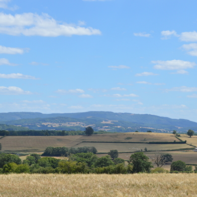 Sur les Hauteurs de Laizy