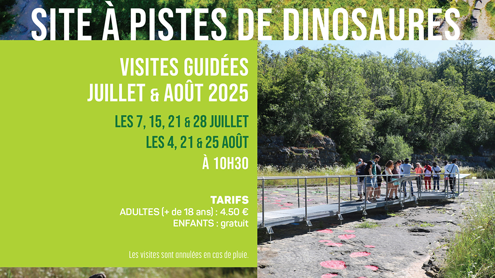 Visite guidée du site à pistes de dinosaures