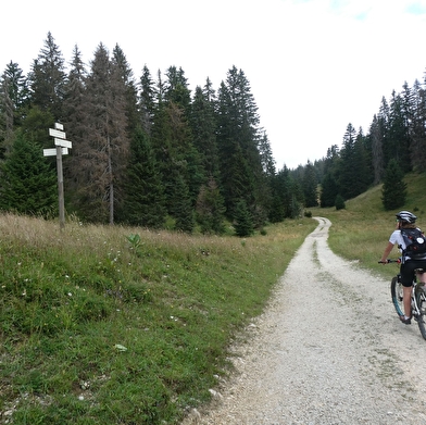 Circuit VTTAE - À la découverte du Haut Jura - La Borne au Lion